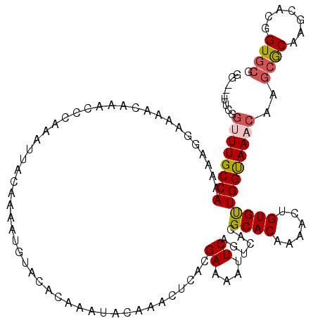 secondary structure