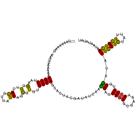 secondary structure