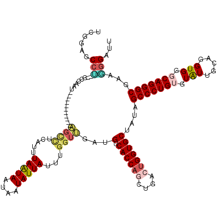 secondary structure