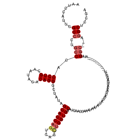 secondary structure