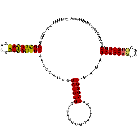 secondary structure