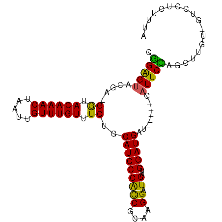 secondary structure