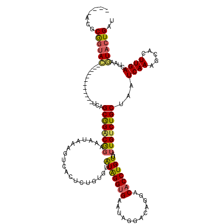 secondary structure
