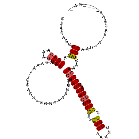 secondary structure