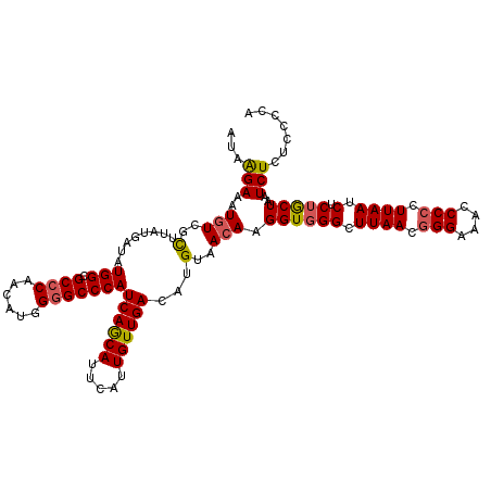 secondary structure