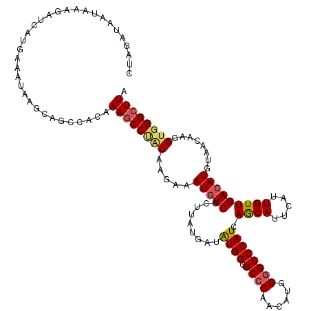 secondary structure
