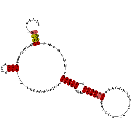 secondary structure