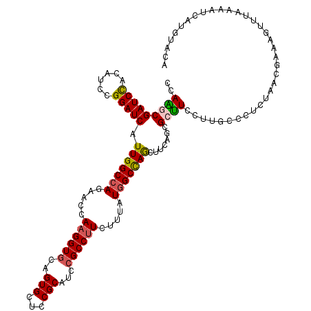 secondary structure