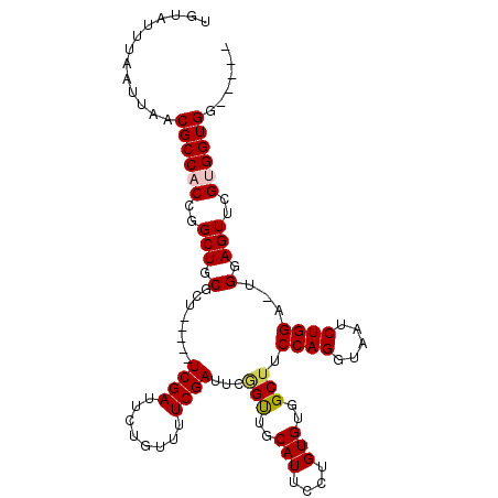 secondary structure