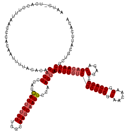 secondary structure