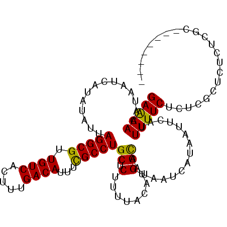 secondary structure