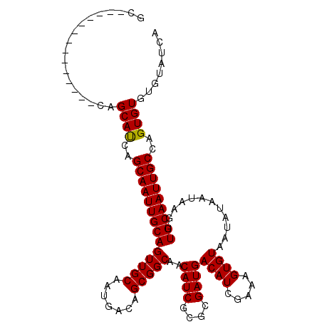 secondary structure
