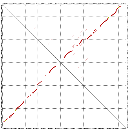 dotplot