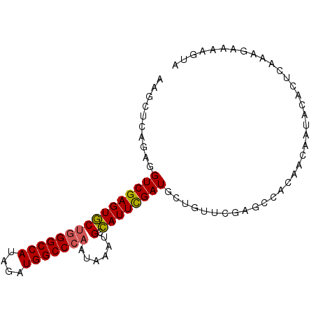secondary structure