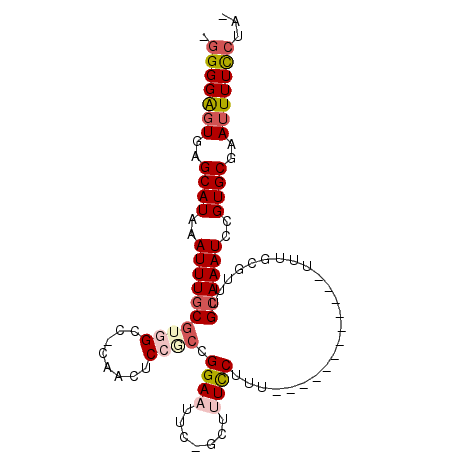 secondary structure