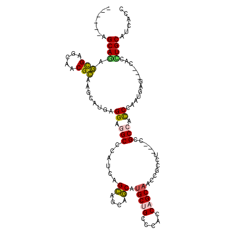 secondary structure