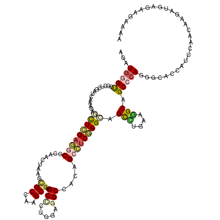 secondary structure