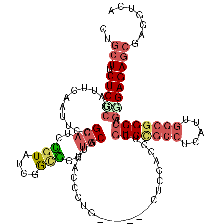 secondary structure
