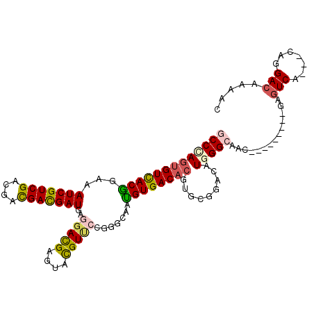 secondary structure