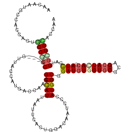 secondary structure