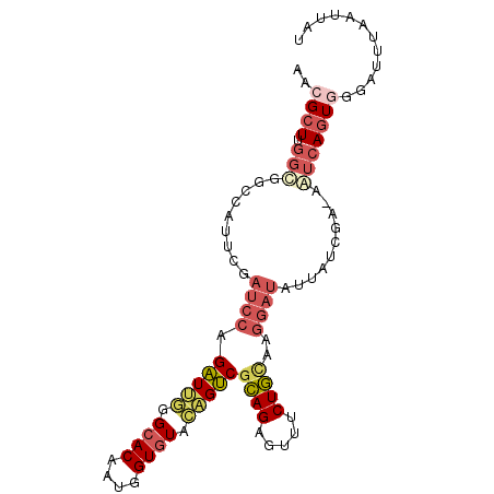 secondary structure