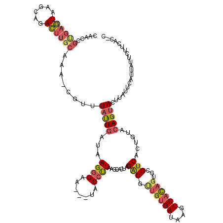 secondary structure