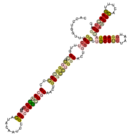 secondary structure