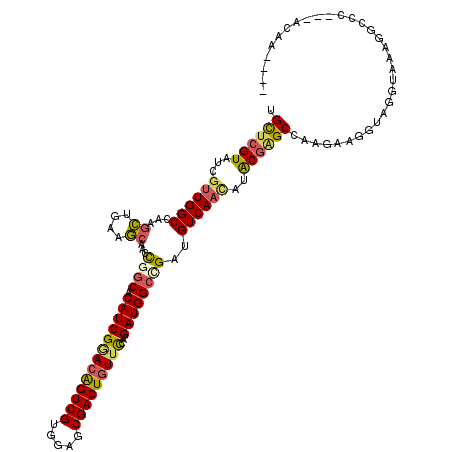 secondary structure