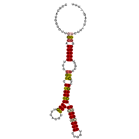 secondary structure