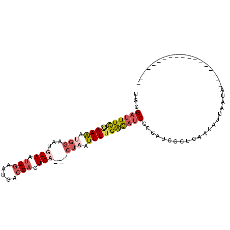 secondary structure