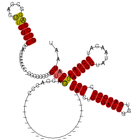 secondary structure