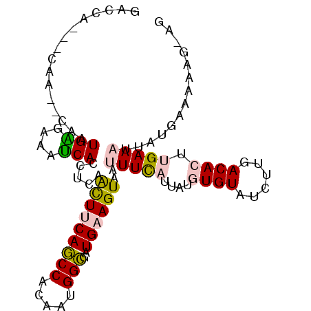 secondary structure