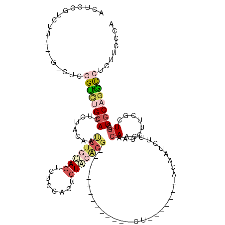 secondary structure