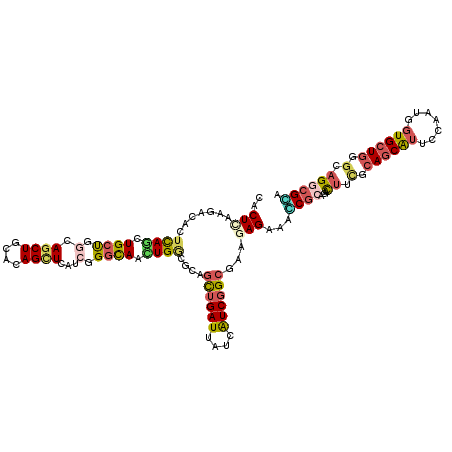 secondary structure