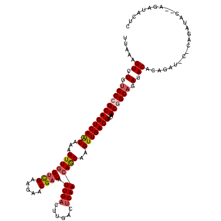 secondary structure
