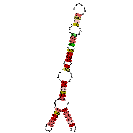 secondary structure