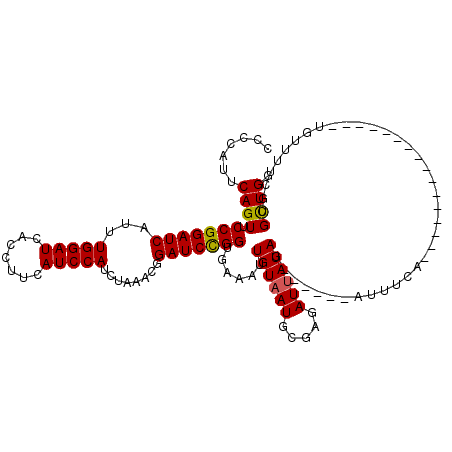 secondary structure