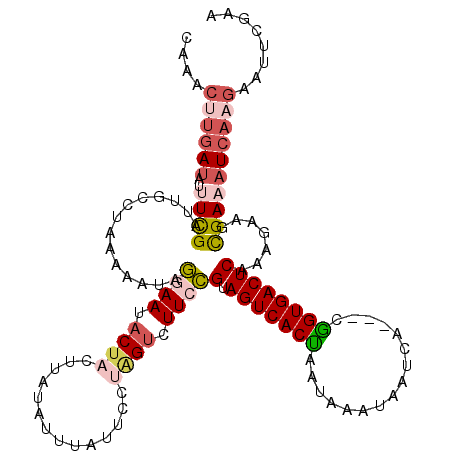 secondary structure