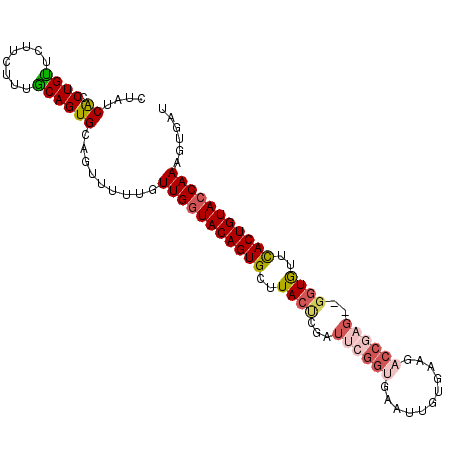 secondary structure