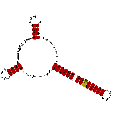 secondary structure