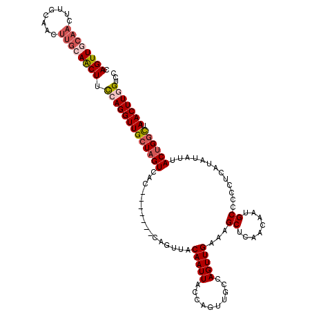 secondary structure