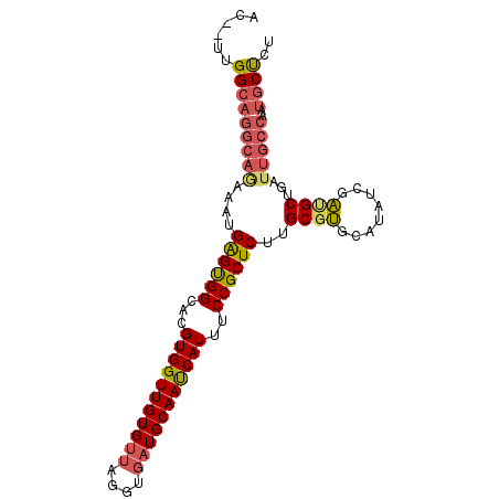 secondary structure