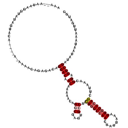 secondary structure