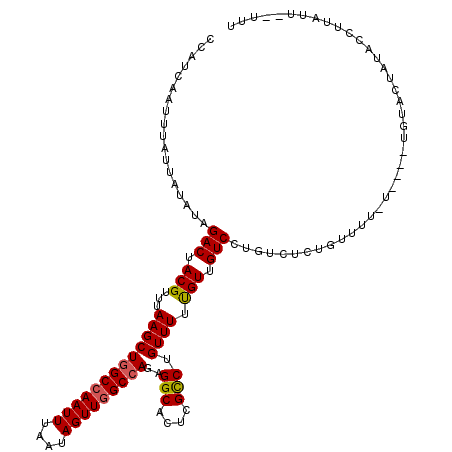secondary structure