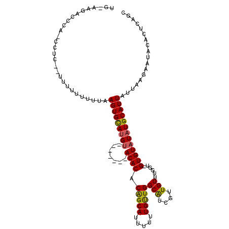 secondary structure