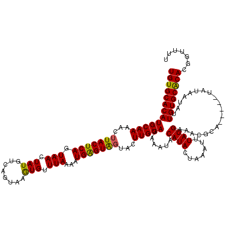 secondary structure