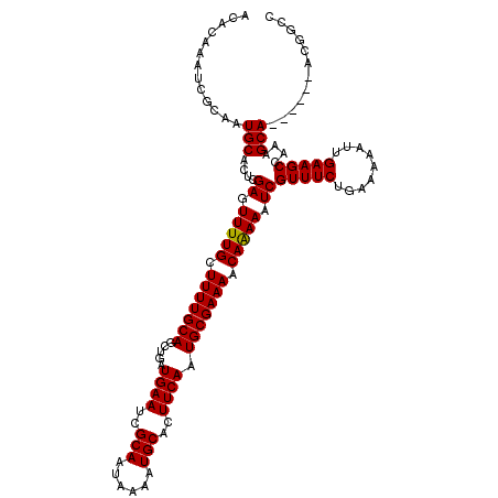 secondary structure