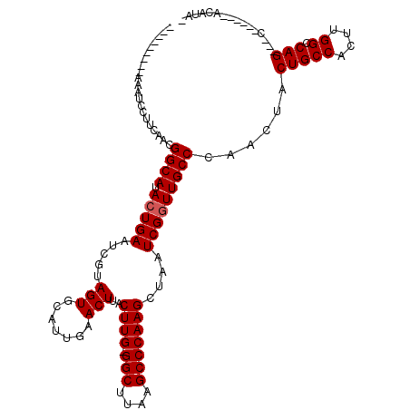 secondary structure