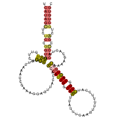 secondary structure