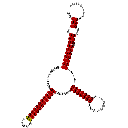 secondary structure